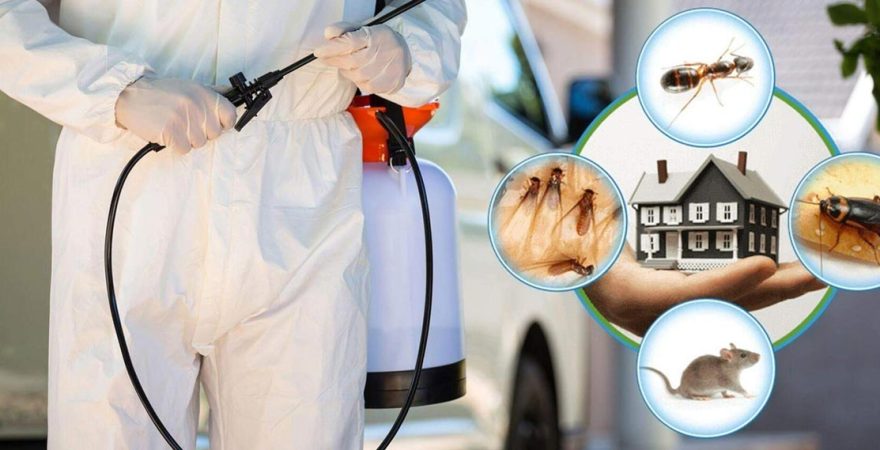 Felahiye Böcek İlaçlama