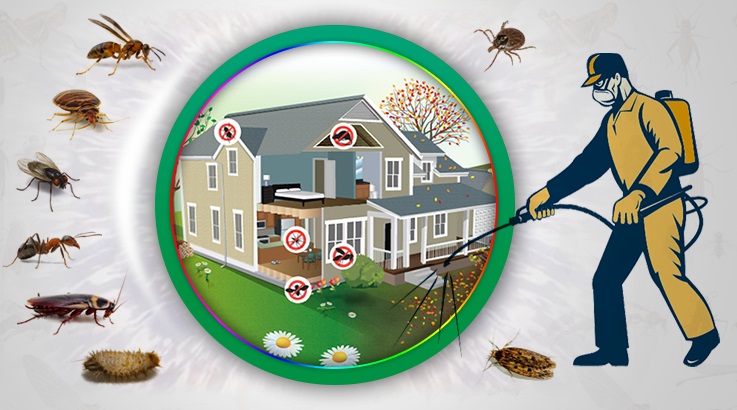 Felahiye Böcek İlaçlama