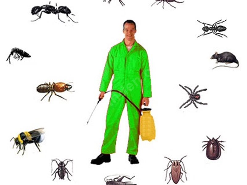 Felahiye Böcek İlaçlama